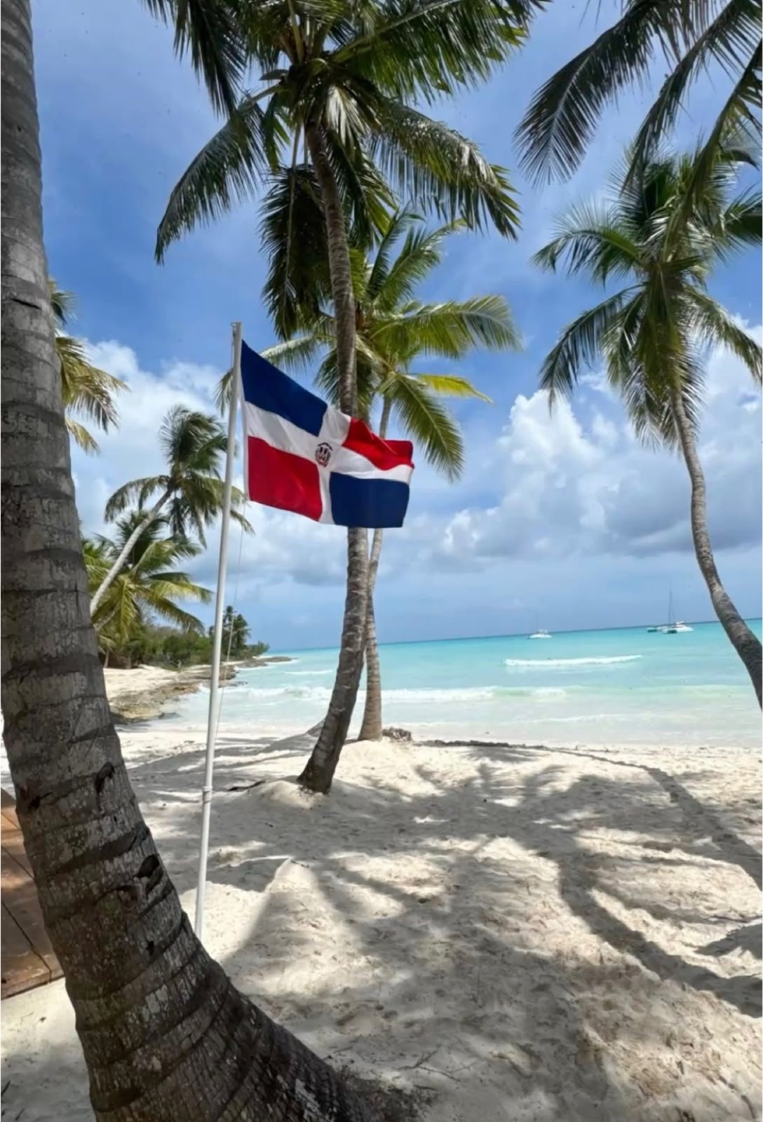 Praia de areia branca em Punta Cana com coqueiros e bandeira da República Dominicana